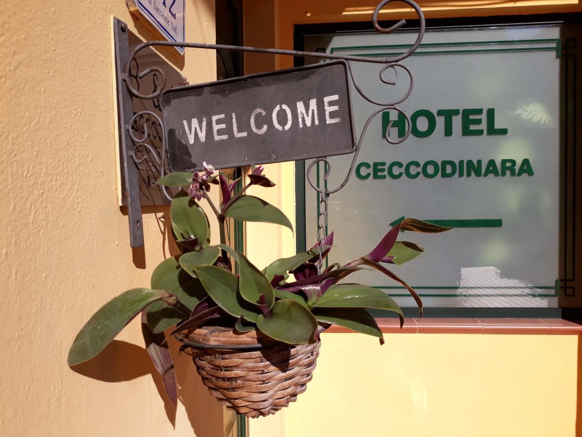 Cecco Di Nara Hotell Massarosa Exteriör bild